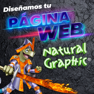 Diseñamos tu Página Web